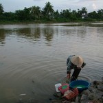 Hoi An - 030 - Lessive dans le fleuve - Vietnam