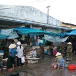 Hoi An - 028 - Marche aux poissons - Vietnam