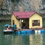 Baie d'Along - 202 - Habitations sur l'eau - Vietnam