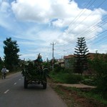 Dalat - 079 - Transporteur de banane - Vietnam