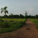 Campagne Phnom Penh - 076 - Chemin d'arrivee - Cambodge