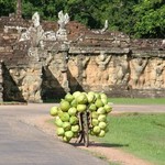 Angkor - 101 - Bayon - Velo noix de coco - Cambodge