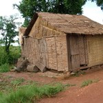 Campagne Phnom Penh - 045 - Maisons voisines - Cambodge