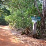 Pondy 061 - Auroville - Carrefour - Inde