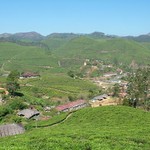 Munnar 000 - Vallée et village avec plantations de thé - Inde