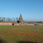 Mamallapuram 063 - Temple Shore - Inde