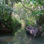 Backwaters 028 - Barque dans canal - Inde