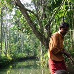 Backwaters 027 - Piroguier dans canal - Inde