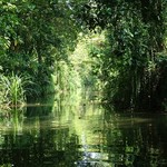 Backwaters 055 - Canaux - Inde