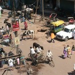 Benares Varanasi 085 - Rue - Inde