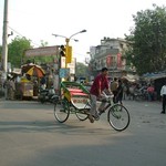 Delhi 072 - Rue - Inde