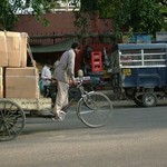 Delhi 035 - Rue - Inde