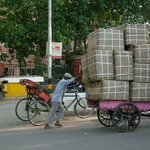 Delhi 041 - Rue - Inde