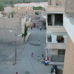 Palmyre 080 - Rue village, palmeraie et site - Syrie