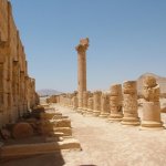 Palmyre 136 - Colonne ruine - Syrie