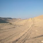 Palmyre 039 - Route et desert - Syrie