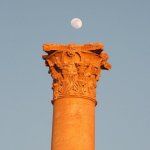Palmyre 073 - Lune et colonne - Syrie