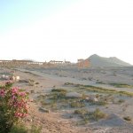 Palmyre 055 - Site vue de loin - Syrie