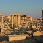 Palmyre 065 - Colonne - Syrie