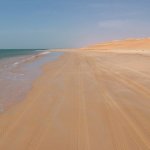 Banc d'Arguin 449 - Route sur la plage - Mauritanie