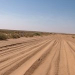 Banc d'Arguin 412 - Traces voiture dans desert - Mauritanie