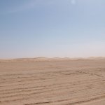 Banc d'Arguin 442 - Desert - Mauritanie