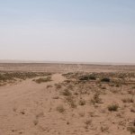 Banc d'Arguin 428 - Desert - Mauritanie