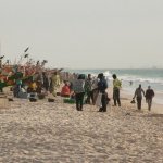 Nouakchott - 040 - Vente de poissons - Mauritanie