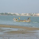 Saint Louis 065 - Pirogue sur fleuve - Senegal