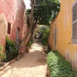Ile Goree - 061 - Rue - Senegal