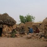 Pays Dogon Djiguibombo 019 - Vieux devant togouna - Mali