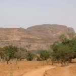 Pays Dogon 135 - Falaise - Mali