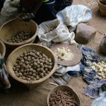 Pays Dogon Ende 203 - Marche boulles d'oignons - Mali