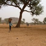 Pays Dogon Kani Kombole 086 - Convoi enfants bois sur la tete - Mali