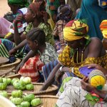 Pays Dogon Ende 210 - Marche Vendeuses aubergines - Mali