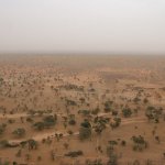 Pays Dogon 345 - Plaine savane - Mali