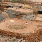 Pays Dogon Indeli 385 - Toits maisons, oignons - Mali