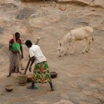 Pays Dogon Begnemato 423 - Femmes pilent - Mali
