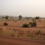 Trajet Bamako 019 - Savane - Mali