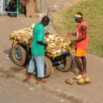 Kumasi 039 - Vendeur de cocos - Ghana