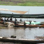 Est lac Volta 311 - Pirogues pecheurs sur lac - Ghana