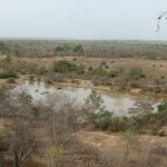 Mole Park 191 - Elephants ds mare vue d'en haut - Ghana