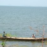 Est lac Volta 317 - Pirogues pecheurs sur lac - Ghana