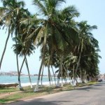 Elmina 092 - Route cocotiers - Ghana
