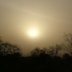 Mole Park 2 088 - Couche de soleil savane - Ghana