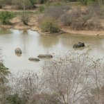 Mole Park 192 - Elephants ds mare - Ghana