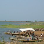 Est lac Volta 313 - Pirogues sur lac - Ghana