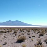 Salar d'uyuni 066 - Lagune Canapa - Bolivie