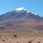 Salar d'uyuni 189 - Montagne et lama - Bolivie