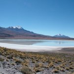 Salar d'uyuni 213 - Lagune canapa - Bolivie